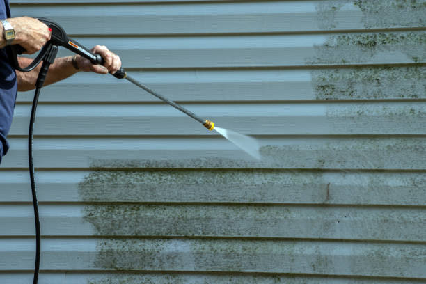 Best Residential Pressure Washing Services  in Alamosa, CO