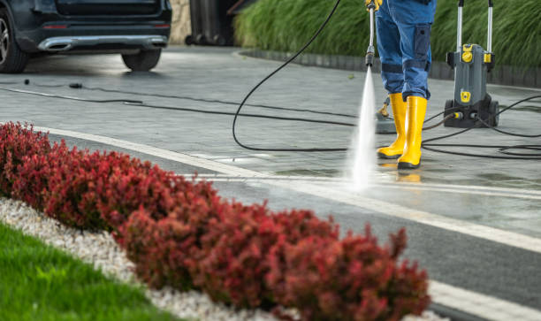 Best Commercial Building Pressure Washing  in Alamosa, CO