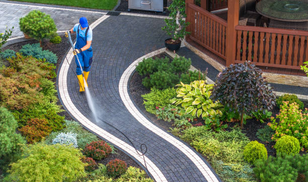 Best Affordable Pressure Washing  in Alamosa, CO