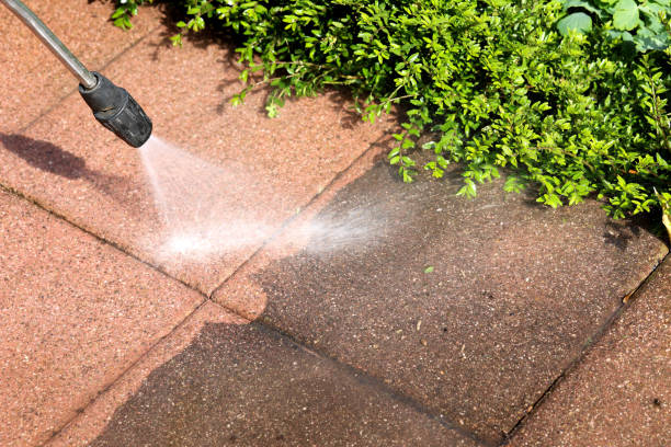 Best Residential Pressure Washing Services  in Alamosa, CO